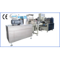 Expert Manufacturer Modeling Clay Extruder Packing Machine